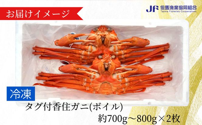 【香住ガニ（ボイル）大 タグ付き 約800g×2枚 冷蔵】【令和8年11月以降発送予定】カニ 甘み 強い かに カニ 蟹 香住がに 紅ずわいがに ベニズワイガニ 脚 爪 身 ほぐし むき身 かにすき 鍋 大人気 ふるさと納税 おすすめ 兵庫 香美 香住 但馬漁業 遊魚館 03-08