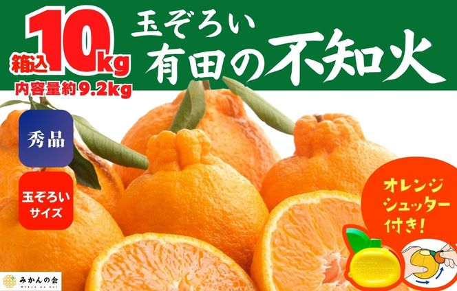 ya̎RLc쒬zsm (ʂ) Gi ʂ낢  10kg (eʖ9.2kg)  a̎RY Ynm݂̉n  AX244