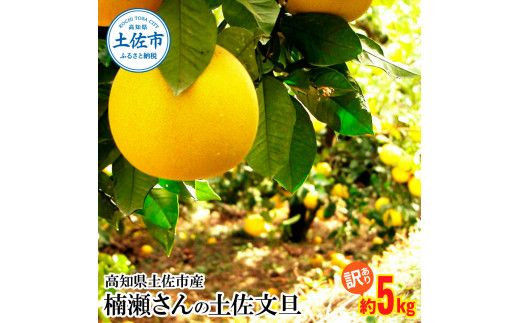 【先行予約】楠瀬さんの土佐文旦 訳あり 約5kg 約5キロ L～4L〈2027年2月15日～2027年4月5日発送〉 ぶんたん ブンタン フルーツ 柑橘 みかん 果物 くだもの 柑橘類 デザート おやつ 甘い わけあり ご自宅用【まる庄果樹園】[BQAF013]