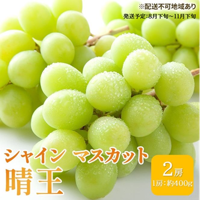 ぶどう 2026年 先行予約 シャイン マスカット 晴王 約400g×2房 ブドウ 葡萄  岡山県産 国産 フルーツ 果物 ギフト 果物類