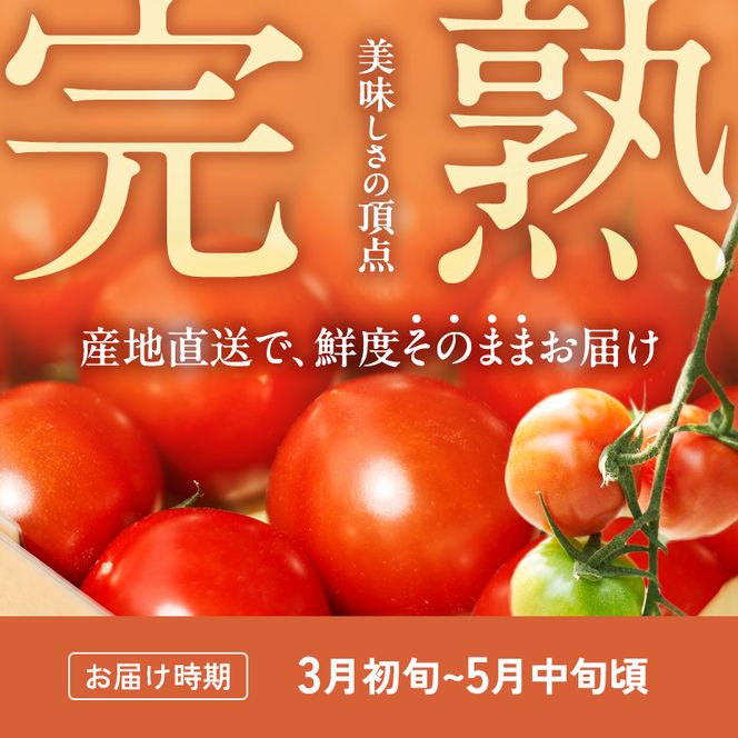 【最旬お届け確約】3ヶ月連続  よしよし畑のあま～い トマト ( 中玉トマト ) 800g ～ 1kg 計約3kg 程度 新鮮 産地直送  とまと 頒布会 定期便 おいしい おすすめ ギフト お取り寄せ