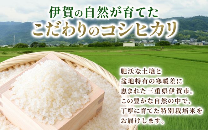 特別栽培米・伊賀米コシヒカリ 5kg【tuli0001A】