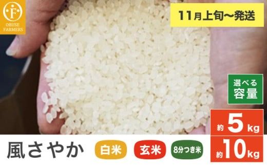 風さやか 白米 玄米 8分つき米 約5kg 約10kg 選べる 精米方法 内容量 ［ おぶせファーマーズ ］ お米 コメ おこめ ご飯 精米 長野県産【2025年11月上旬～発送】