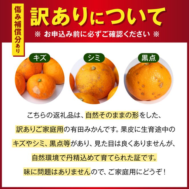 【訳あり ご家庭用】和歌山県産 有田みかん 6+1kg保証分 サイズ混合_EH6102