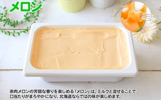 595.アイスクリーム メロン めろん ジェラート 業務用 2リットル 2L アイス 大容量  手作り 北海道 弟子屈町