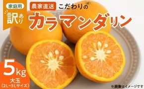 ZT6211n_こだわりの カラマンダリン 【訳あり 家庭用】 5kg 藤秀園