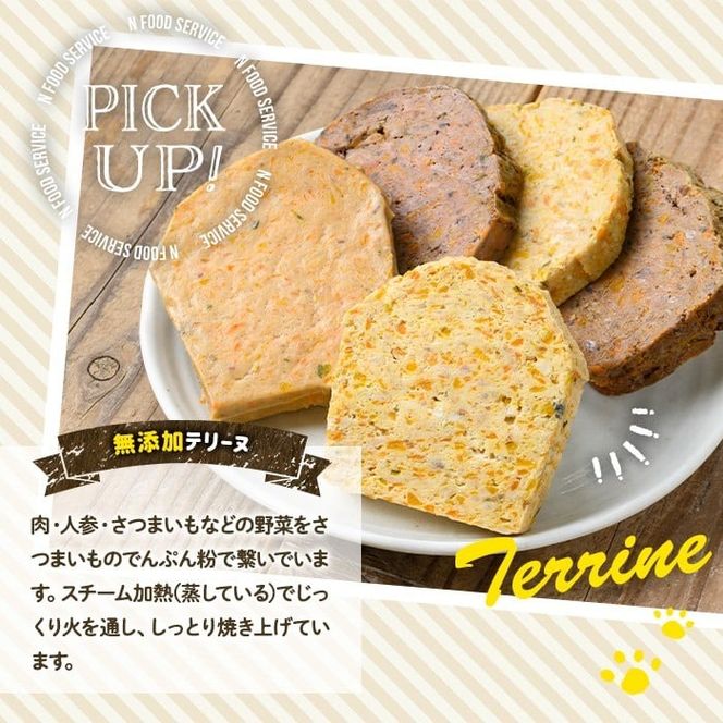 a1090 《種類・配送が選べる》＜保存料・着色料 不使用＞愛犬用無添加テリートヌ レルトパック ダチョウテリーヌ(2袋～21袋・3回・6回・12回定期便)【Nフードサービス】姶良市 ダチョウ テリーヌ 犬 ドッグ ペット フード エサ レトルト おやつ ごはん ご飯 間食 ご褒美