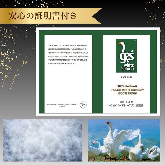＜京都金桝＞羽毛布団 シングル ホワイトコウダ ポーランド産マザーホワイトグースダウン95％ 1.2kg 日本製 冬用 布団 新生活 DP450 京都亀岡産 セーヌ 新生活◇