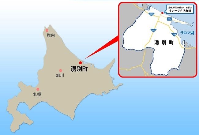 北海道 オホーツク 湧別沖 船上 選別 貝付 ほたて 6kg（36枚前後）ホタテナイフ付 帆立 刺身 海鮮 魚介 国産 殻付き 冷蔵 サロマ湖 魚貝類 砂抜き お刺身 生食