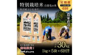 【通年受付】≪令和8年産≫【定期便／1ヶ月おき全6回】農家直送！魚沼産コシヒカリ特別栽培「白羽毛の米」精米(1kg×5袋)×6回 30kg お米 白米 ご飯