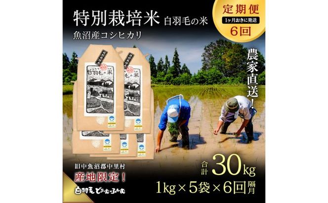 【通年受付】≪令和8年産≫【定期便／1ヶ月おき全6回】農家直送！魚沼産コシヒカリ特別栽培「白羽毛の米」精米(1kg×5袋)×6回 30kg お米 白米 ご飯