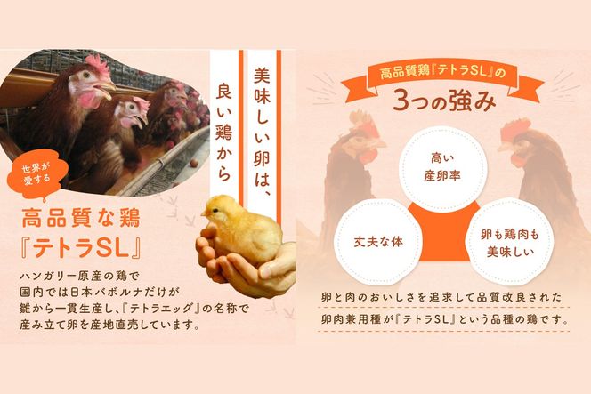 【F8-004】テトラエッグ(40個/月)【6ヵ月定期便】