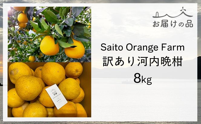【先行予約】Saito Orange Farmの訳あり河内晩柑8kg ※2027年4月下旬頃より順次発送予定 IKTAQ005