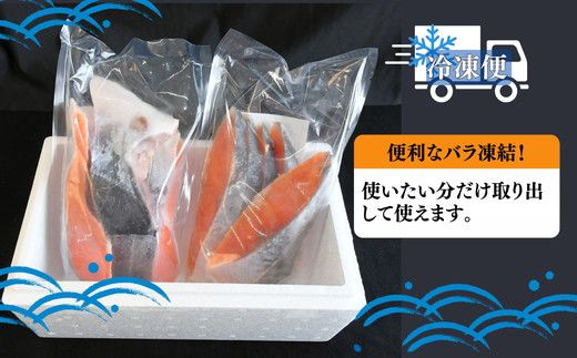 国産 銀鮭 薄塩 切り身 1kg(訳なし 食品添加物 酸化防止剤 無添加 バラ凍結 サーモン 銀鮭 塩銀鮭 シャケ 切身 さけ サケ 冷凍 弁当)【002372】