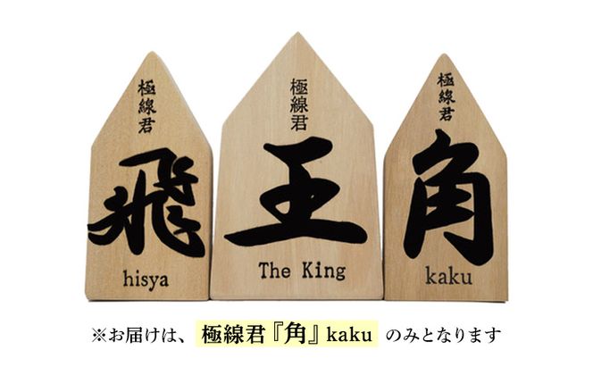 極線君 『角』Kaku ブラシ 掃除 エンボスブラシ ゴクセンクン カク 超極細ステンレスブラシ コーナーブラシ 床洗浄ブラシ 日進市 愛知県