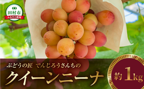 ＼ 先行予約 2026年発送 ／ クイーンニーナ 約1kg 冷蔵 種無し 種なし シャインマスカット ブドウ ぶどう 品種 果物 甘い 巨峰 美味しい 希少 人気 福島県 田村市  鈴木農園 でんじろうさん