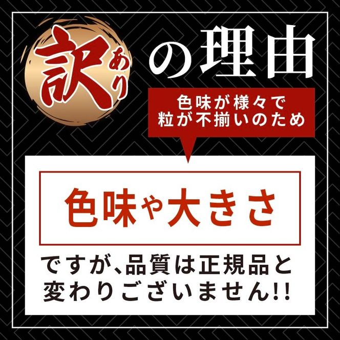 訳あり 半生うに 200g 100g×2 冷凍 うに キタムラサキウニ ミョウバン不使用 [kama033]