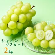 小林市産シャインマスカット　約2㎏(ぶどう シャインマスカット)(シャインマスカット)