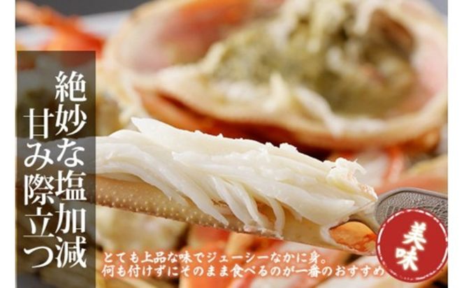かに卸問屋がお届け・自社釜ゆで！山陰沖ゆで松葉がに 900ｇ～1ｋｇ 特大サイズ（11月発送）／北畿水産　HK00313