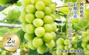 ぶどう 2026年 先行予約 長期冷蔵 シャイン マスカット 2房入り（1房 530g以上） ブドウ 葡萄  岡山県産 国産 フルーツ 果物 ギフト 岡山の葡萄 