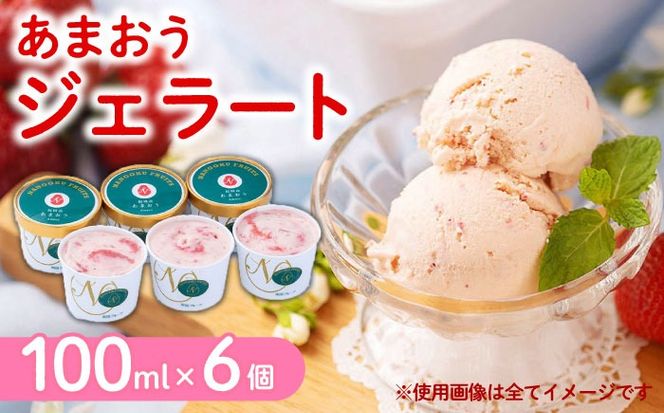 福岡産 あまおう ジェラート 100ml×6個 《築上町》【南国フルーツ株式会社】アイス スイーツ イチゴ 苺 いちご[ABET007]