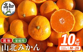 山北みかん（露地） 10.0kg 家庭用 sq-0004