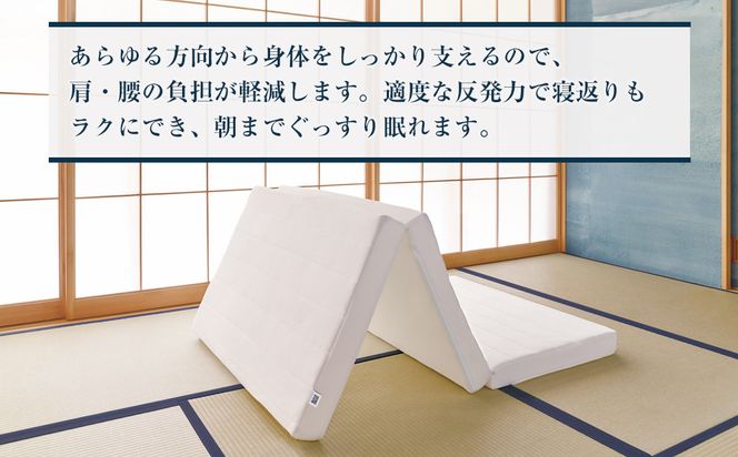 スマートZ01　特別仕様 シングル 232238_T233