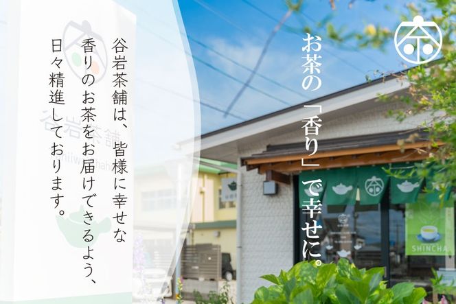 お茶 緑茶 深蒸し煎茶 深緑 100g×2本 [谷岩茶舗 宮崎県 日向市 452061605] セット 小分け 茶葉 プラチナ賞