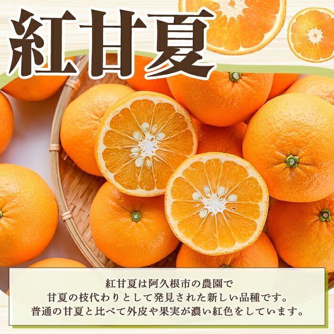 ＜先行予約受付中！2027年2月上旬以降順次発送予定＞ 訳あり！紅甘夏(約18kg) 国産 紅甘夏 柑橘 果物 フルーツ デザート 果実 期間限定 数量限定 【古田果樹園】akn093-10