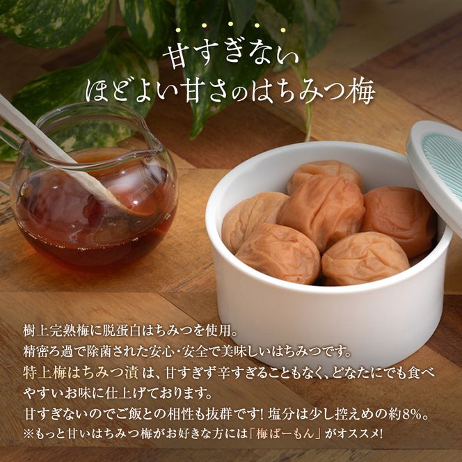 つぶれ梅 2種セット 極上漬＆はちみつ梅 300g×2 ［Kn13］ 303446_CQ013