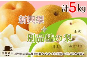 田園紳士厳選「梨好きさんのための梨セット」新興梨ともう1品種の計2品種セット　DE00145