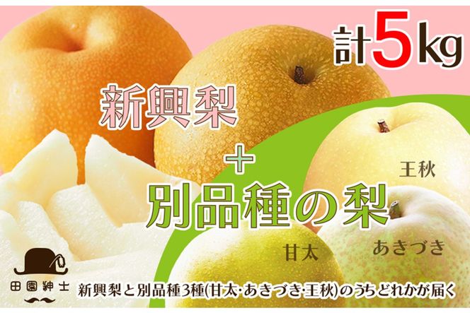 ys{OszcamIuD̂߂̗ZbgvVƂ1ǐv2iZbg@DE00145