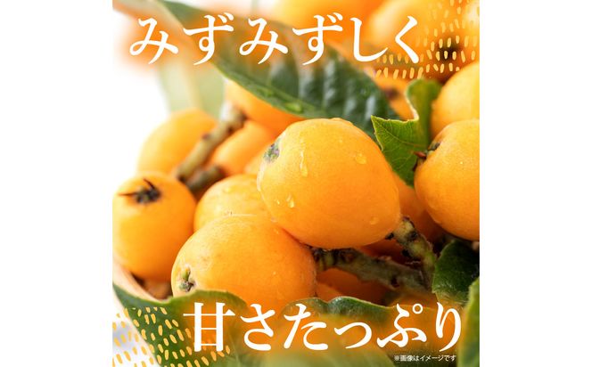 【C07014】【期間限定】田ノ浦びわ 約1.08kg（270g×4パック）