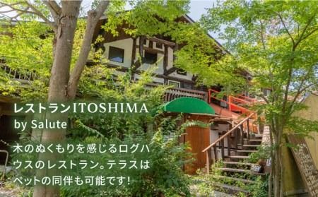 【グルテンフリー】レストランITOSHIMA の 手作り カレー 3種類 3個 セット 糸島市 / 株式会社竹次郎 [AWJ004] 保存食 カレー レトルト ギフト 詰め合わせ セット 贈答 グルテンフリー