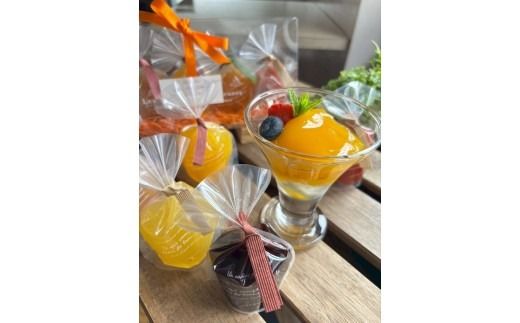 河の屋　パティスリー Kawanoya　完熟ジュレ 10種 詰め合わせ｜ジュレ ゼリー シャーベット 洋菓子 おやつ お菓子 おかし スイーツ おすすめ 人気 セット 贈り物 プレゼント ギフト 夏 愛知県 美浜町 ※北海道・沖縄・離島への配送不可 ※2026年5月上旬～8月下旬頃に順次発送予定