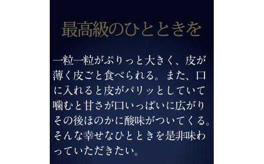 ぶどう 2026年 先行予約 9月・10月発送 高級品 シャインマスカット 晴王 1房 約650g ブドウ 葡萄 岡山県産 船穂産 フルーツ 果物 ギフト