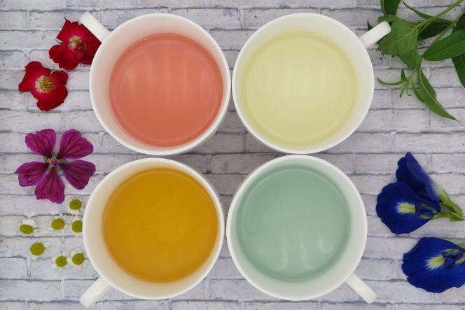 信州安曇野ハーブ専門店 ナチュラルマルシェsoyosoyo ハーブティー お買い物券 3,000円分 [合同会社PolarisAct 長野県 池田町 48110934] ハーブ ハーブティー お茶 ティー 飲み物 商品券