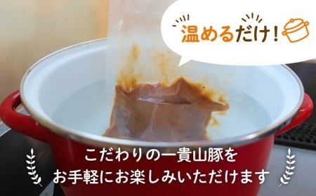食べ応え抜群！一貴山豚とんバーグ12個（6個×2種）ジャポネソース_デミグラスソース_ハンバーグ いきさん牧場 《糸島》[AGB003] ハンバーグ デミグラス 冷凍 詰め合わせ 湯せん おかず 冷凍 ストック