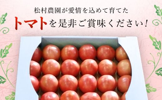 【先行予約/10月中旬発送開始】松村さんちのトマト1箱（20～24個・約4kg）SMAE002 / トマト とまと 野菜 夏野菜 先行予約 千葉県 山武市