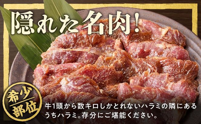 mrz0399-1 【氷温熟成×特製ダレ】希少部位 牛肉 うちハラミ 2kg（400g×5）＜スピード発送＞