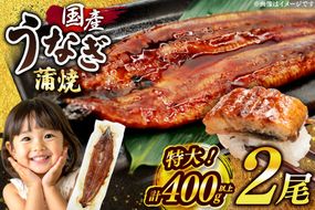うなぎ 国産 鰻 蒲焼 特大 約200g 2尾 計400g以上 小分け 【有頭】[大黒物産 福岡県 宇美町 um40bak830011] タレ 山椒付 茶葉蒸し ウナギ 不揃い 規格外 鹿児島 宮崎 うなぎ蒲焼 鰻蒲焼き 蒲焼き かば焼き 真空パック 個包装 冷凍 unagi