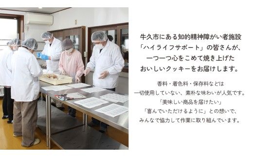 クッキー 5種 詰め合わせ 計52枚 お菓子 おやつ 焼き菓子 セット 小分け 小袋 スイーツ プレーン ココア コーヒー チーズ メープル 障がい者就労支援 [ET004us]