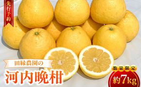 【先行予約】【数量限定】田縁農園の河内晩柑約7kg ※離島への配送不可 （2027年4月10日より順次発送）IKTA020