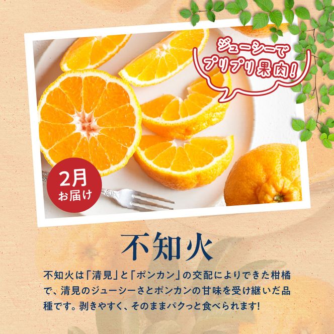 G60-T98_【発送月固定定期便】紀州和歌山産旬のご家庭用柑橘セット(みかん・不知火・せとか・清見)全4回