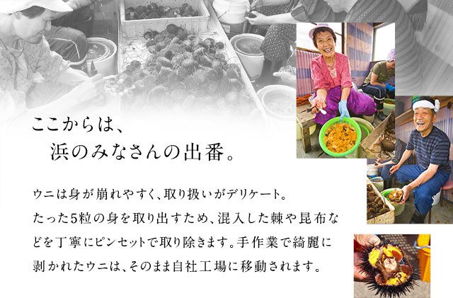 北海道礼文島産 旬凍キタムラサキウニ80g×1 魚貝類 雲丹 氷結 うに 