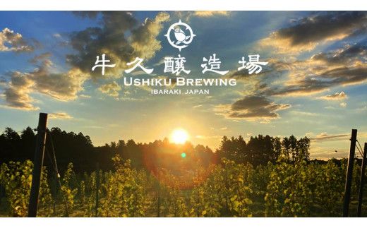 【 お歳暮 熨斗付 】 5年連続！《 ジャパン・グレートビア・アワーズ 受賞 》クラフトビール3種 計 12本セット 飲み比べ 茨城県産 牛久醸造場 330ml × 12本 ビール 地ビール クラフト お酒 贈り物 御歳暮 冬ギフト [BJ050us] 