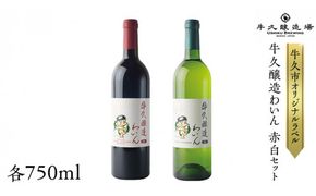 『 牛久醸造 わいん 』 赤白 セット 計 2本 飲み比べ 茨城県産 牛久醸造場 750ml 日本ワイン ワイン 赤ワイン 白ワイン ミディアムボディ お酒 贈り物 葡萄 ぶどう 和食 洋梨 パイナップル 酸味 [BJ041us]