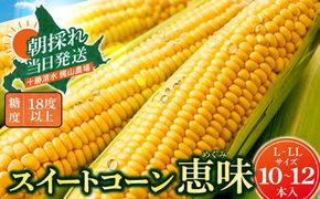 先行受付！【2026年8月頃～発送開始！】北海道十勝清水町産 恵味 サイズ混合 10本 北海道産 2026年 とうもろこし とうきび 産直 産地直送 清水町 北海道_S041-0011-20260810