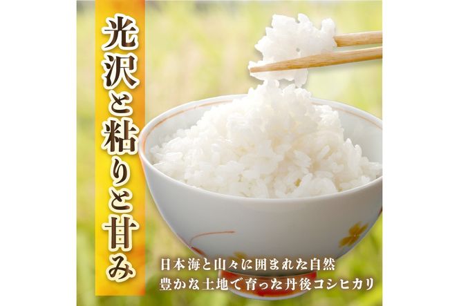 3月発送：直売所直送「令和7年産　京丹後市産　コシヒカリ」　精米5kg こめ ふるさと納税 コシヒカリ 精米 米 精米 白米 2025 年 京都産　JA00082S_03