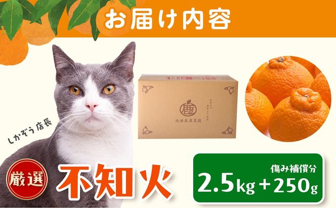 ［先行予約］厳選 不知火2.5kg+250g（傷み補償分）［デコポンと同品種・人気の春みかん］ CZ119